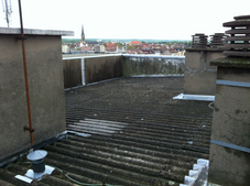 IMG_2003.PNG